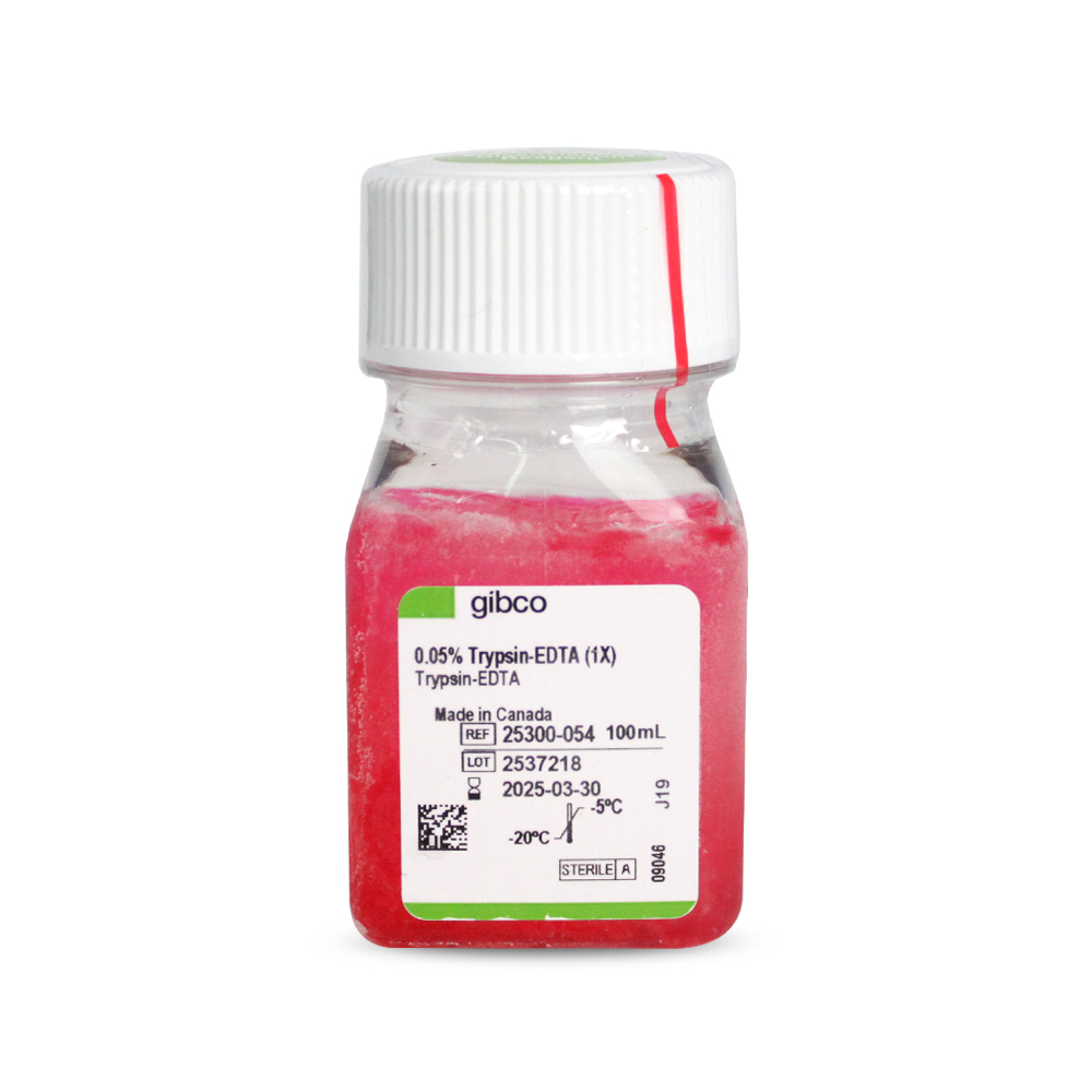胰酶細胞消化液（0.05%胰酶，含EDTA，含酚紅）